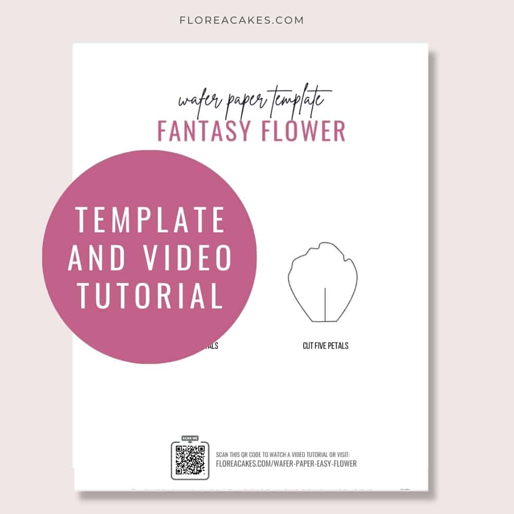 Florea Cakes Wafer paper flower tutorial Wafer Paper Fantasy Flowers Template and Video Tutorial