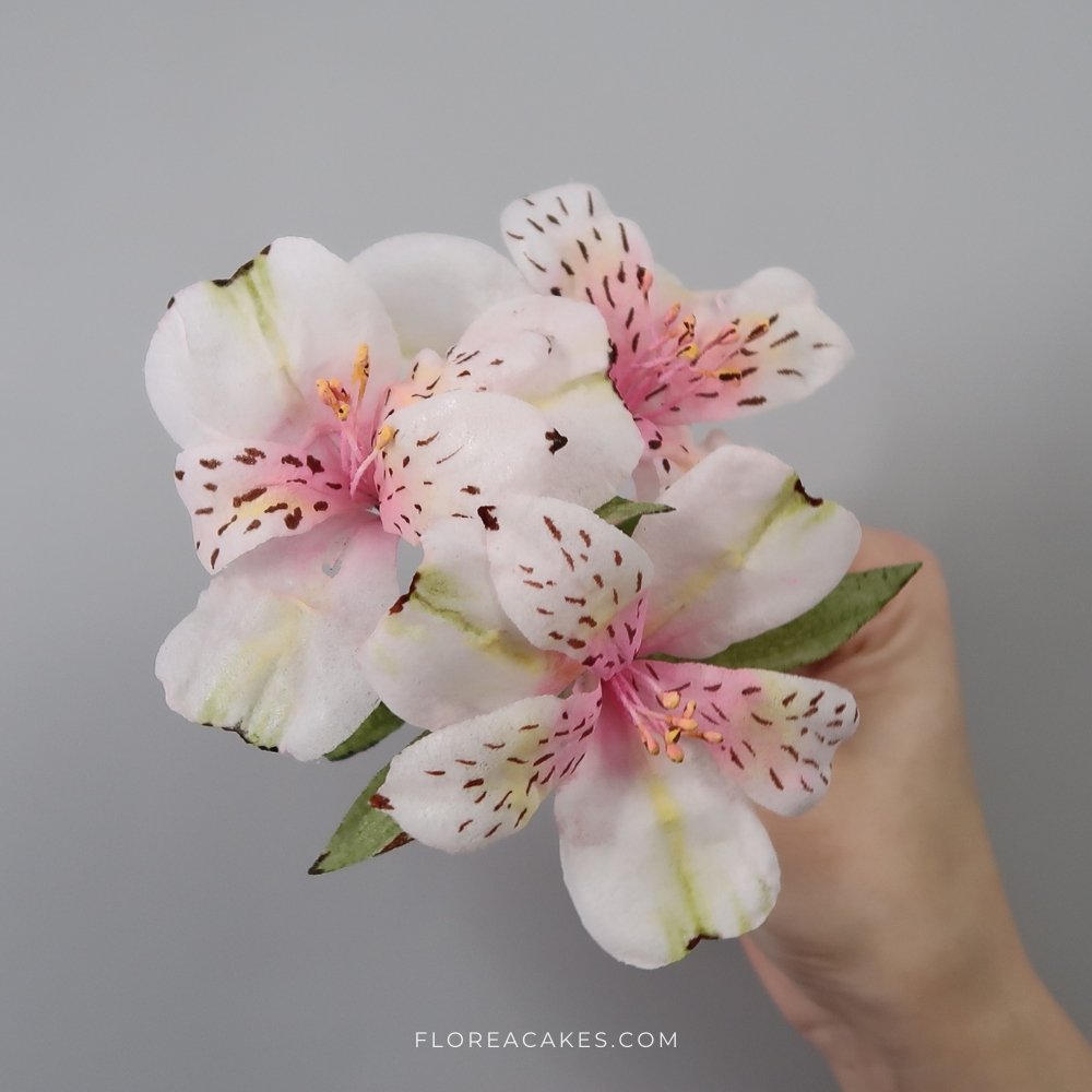 Wafer Paper Alstroemeria