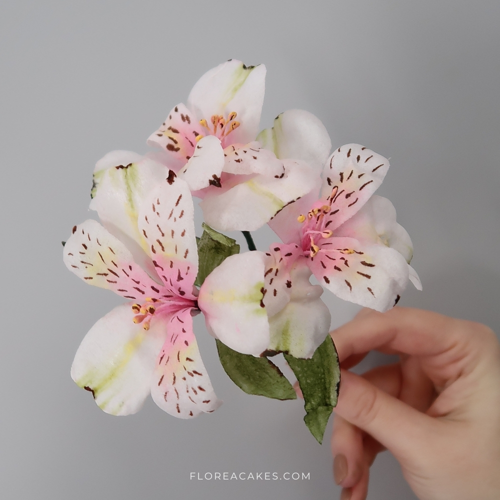 Wafer Paper Alstroemeria-Cake decorating