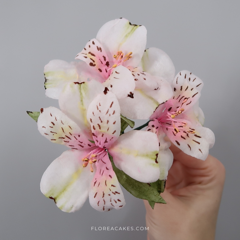 Alstroemeria-Wafer Paper Cake