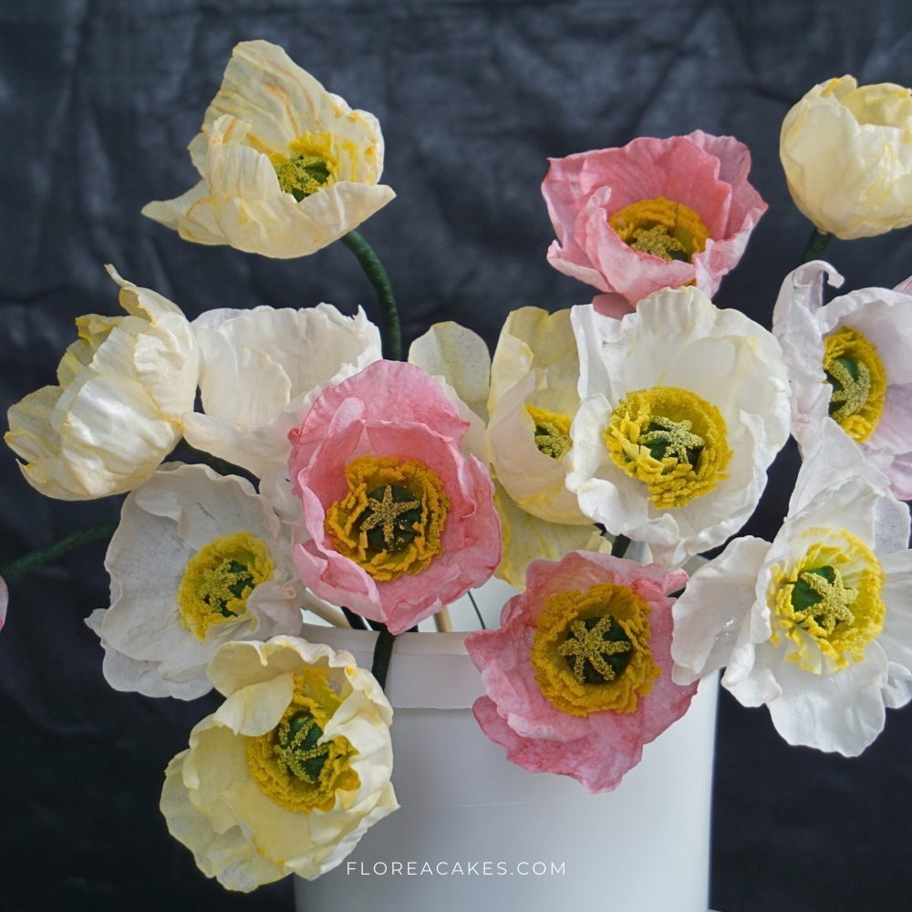 Florea Cakes Wafer Paper Poppy Video Tutorial