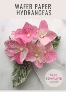 astashkina cakes hydrangea