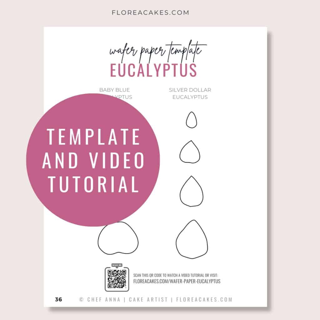 Florea Cakes Wafer Paper Tutorial Eucaliptus