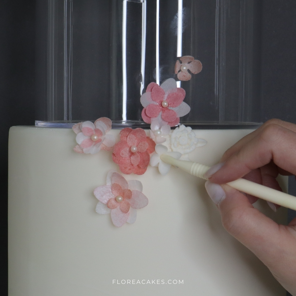 Florea Cakes Wafer Paper Flower Tutorial Cake Flower Appliques