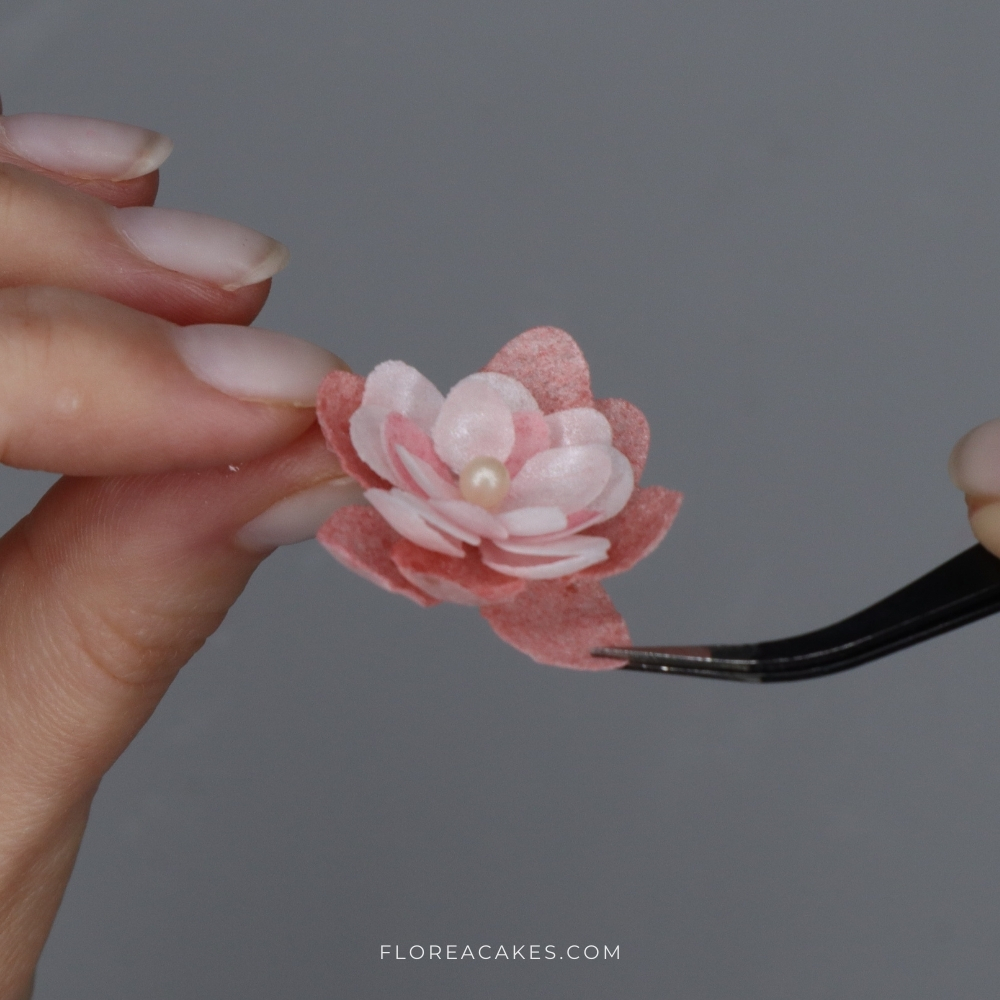 Florea Cakes Wafer Paper Flower Tutorial Pink Wafer Paper Flower