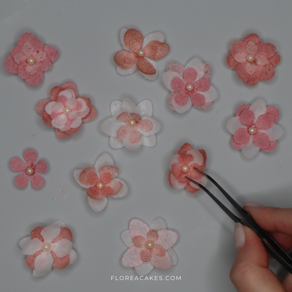 Florea Cakes Wafer Paper Flower Tutorial Sweet Wafer Paper Flowers