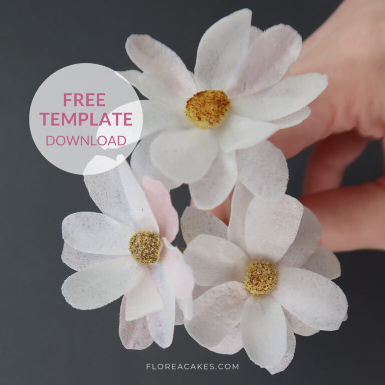 Florea Cakes Wafer Paper Tutorial Daisy Free Template