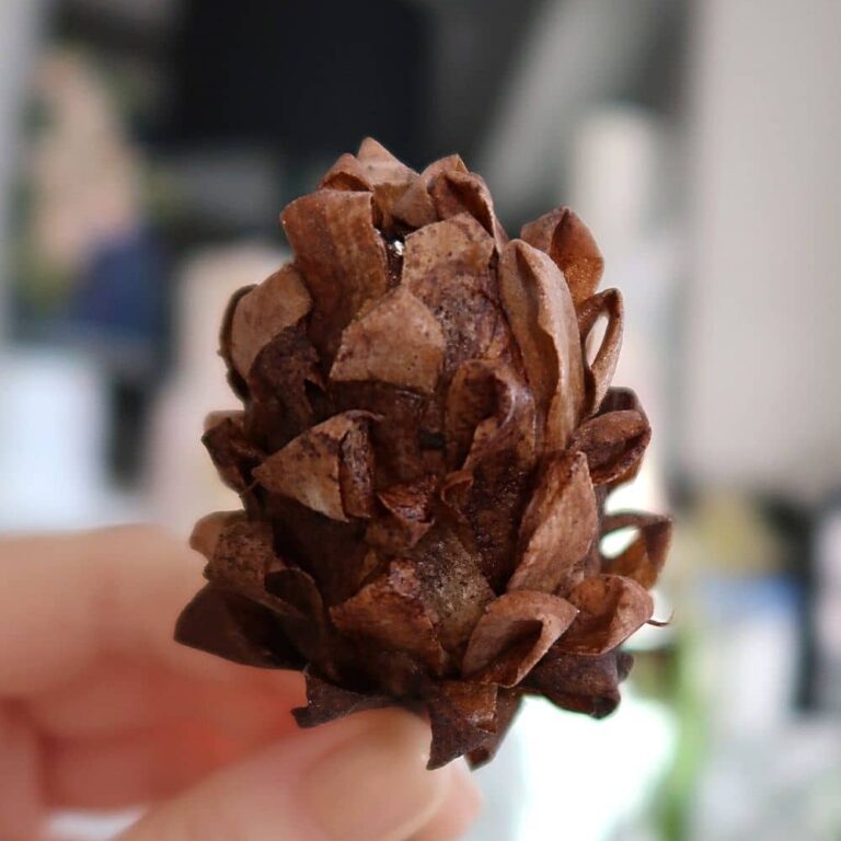 wafer paper pine cones astashkina cakes 2