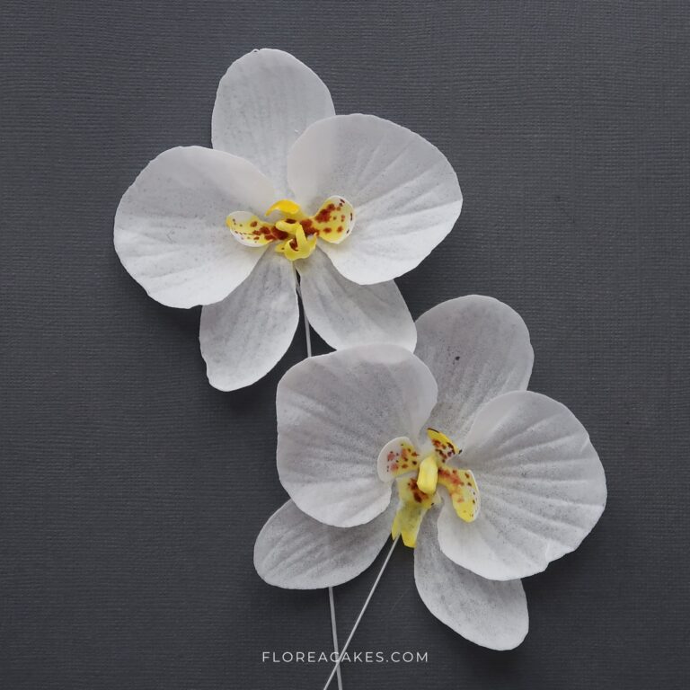 Florea Cakes Wafer Paper Orchid Tutorial