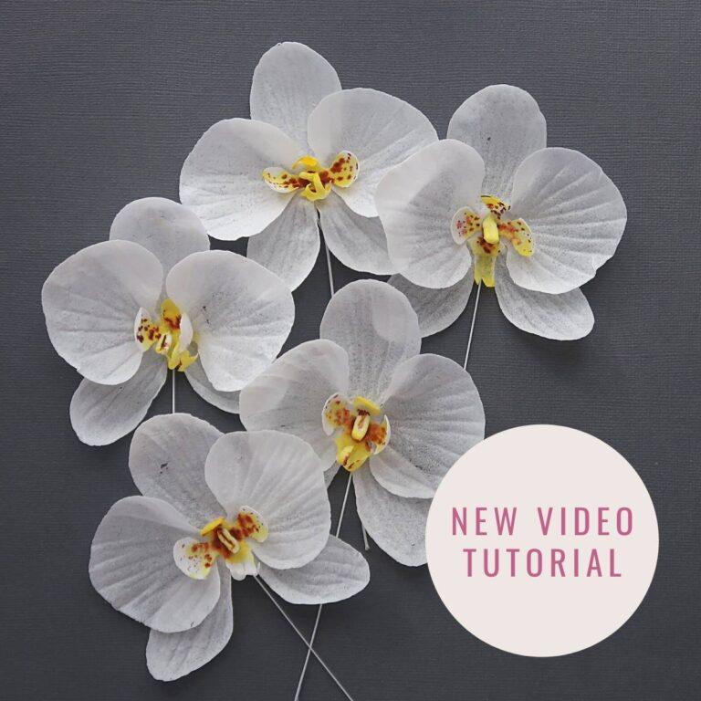 Florea Cakes Wafer Paper Tutorial Orchid New Video