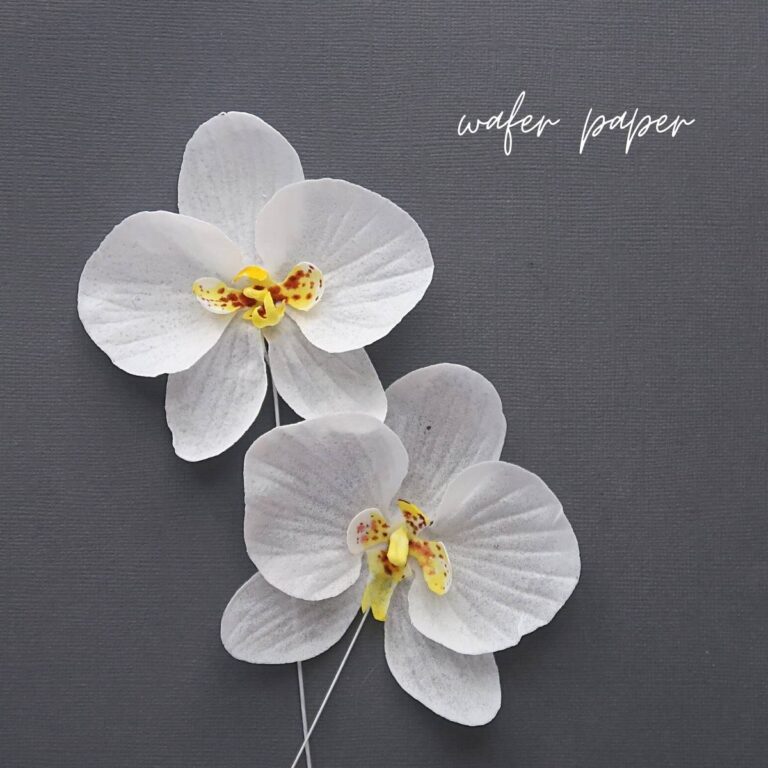 Florea Cakes Wafer Paper Tutorial Orchids