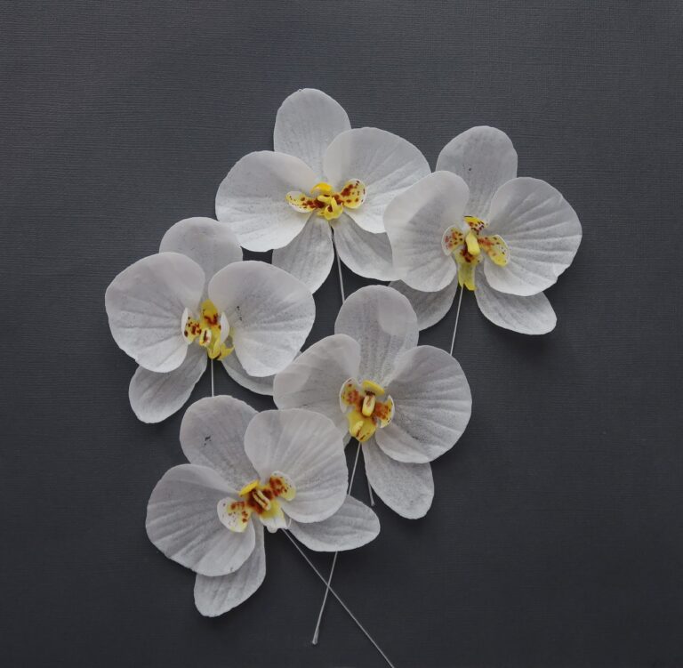 Florea Cakes Wafer Paper Tutorial Orchids Flowers