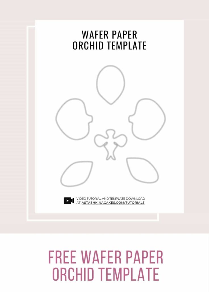 How To Make Wafer Paper Phalaenopsis Orchid 