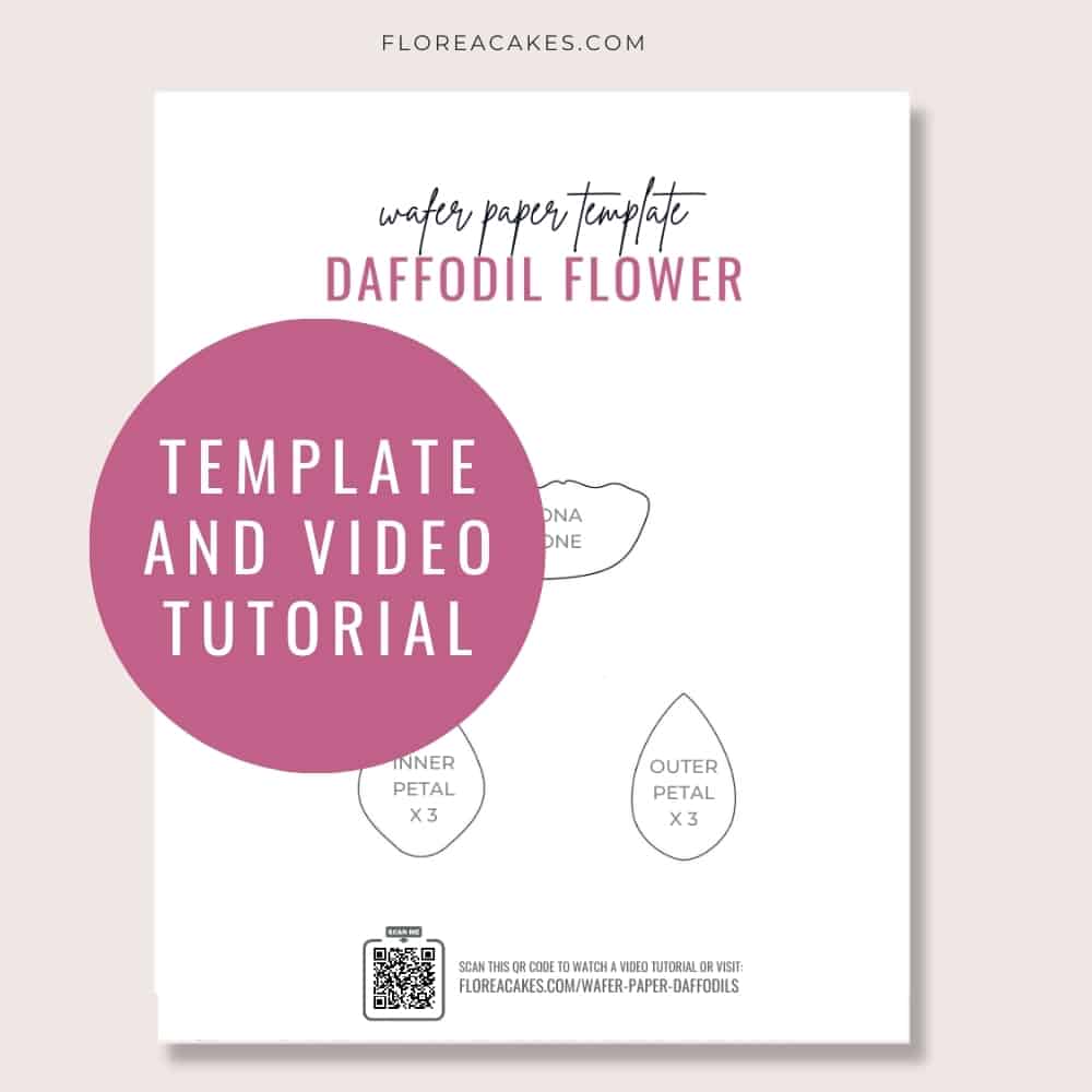 Wafer Paper Flower Tutorial Florea Cakes Wafer Paper Daffodil template and video tutorial