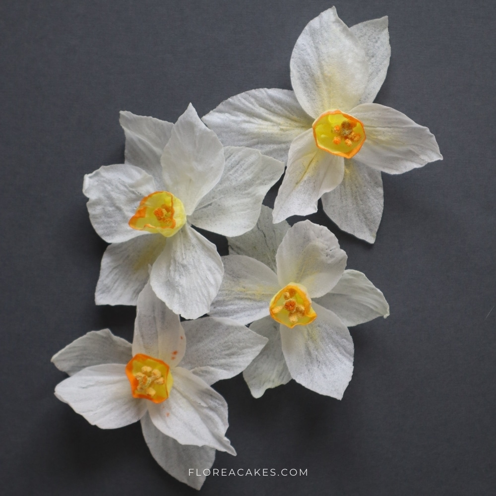 Wafer Paper Flower Tutorial Florea Cakes Beautiful Wafer Paper Daffodil