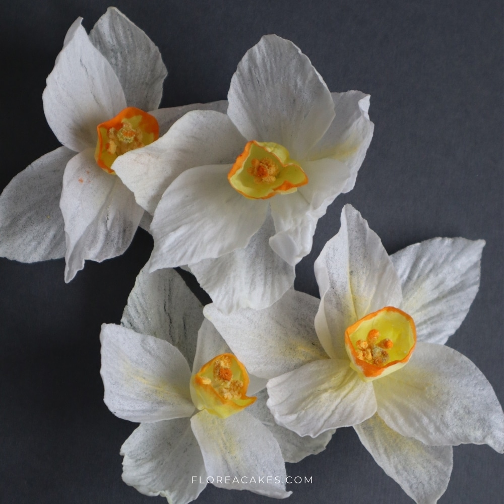 Wafer Paper Flower Tutorial Florea Cakes Wafer Paper Daffodils for Cake Decoration