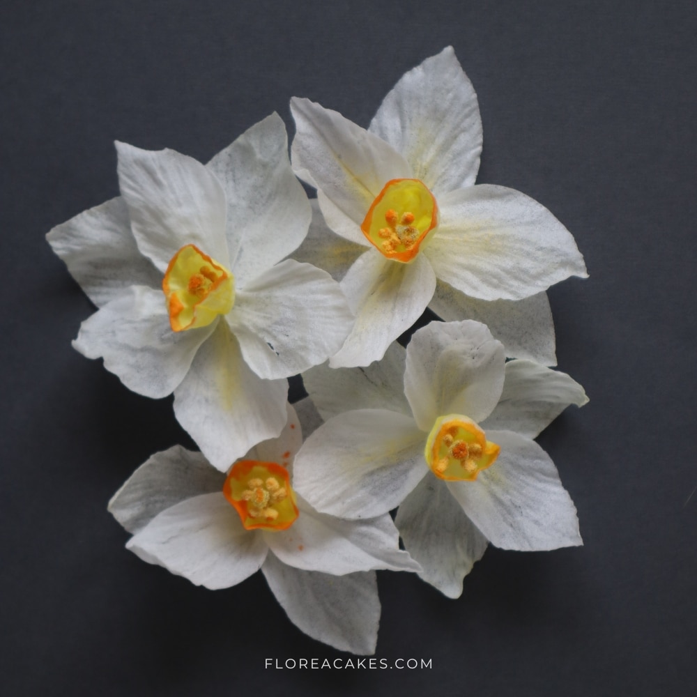 Wafer Paper Flower Tutorial Florea Cakes Wafer Paper Daffodil Step-by-step Tutorial