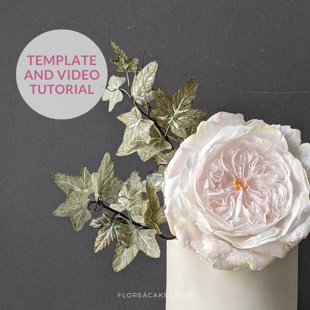 Florea Cakes Wafer Paper Flower Tutorial Wafer Paper Ivy Template