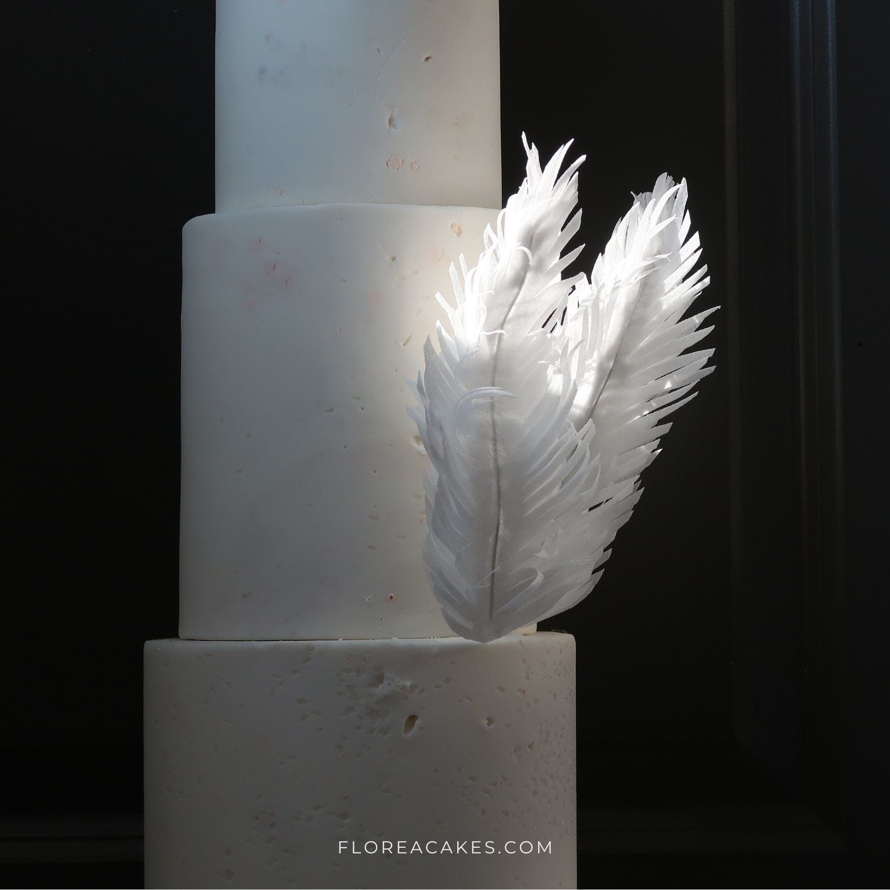 Florea Cakes Wafer Paper Tutorial Feathers ()