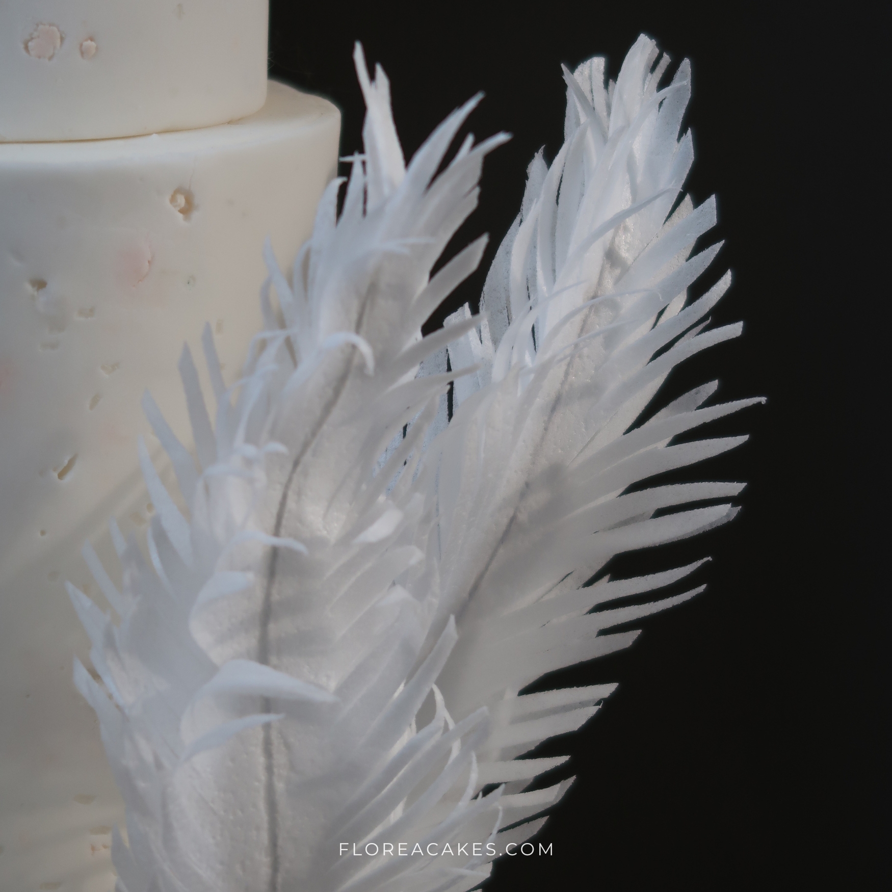 Florea Cakes Wafer Paper Tutorial Feathers ()