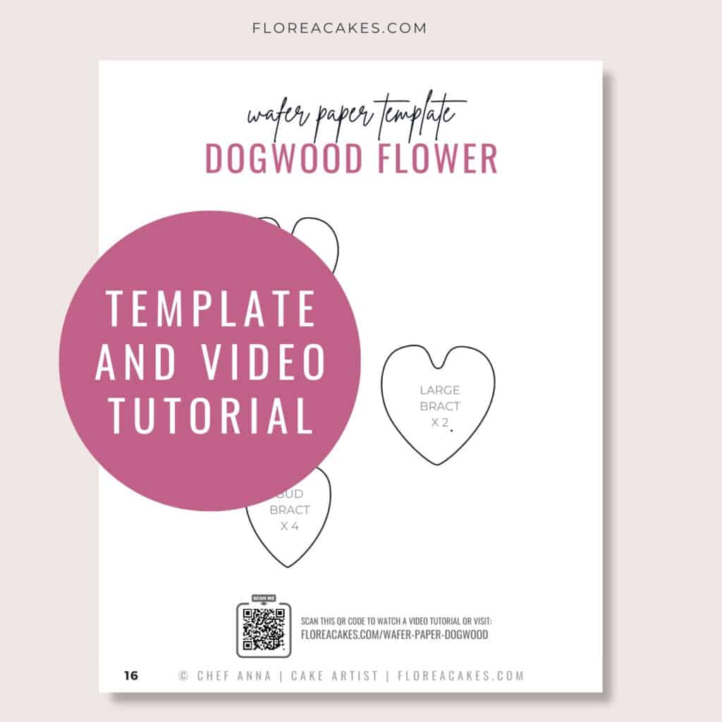 Wafer Paper Dogwood Tutorial florea Cakes