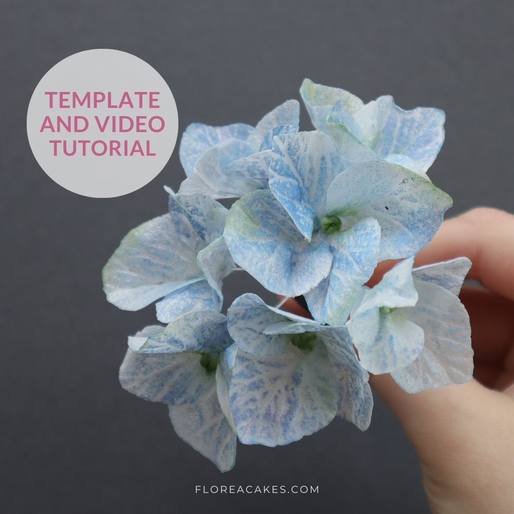 Florea Cakes Wafer Paper Flower Tutorial Hydrangea Video Tutorail and Template