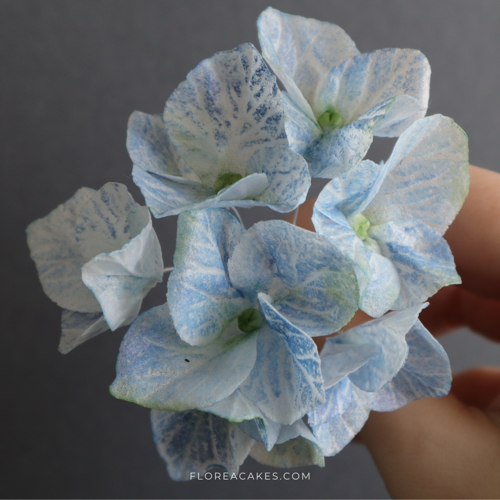 Florea Cakes Wafer Paper Flower Wafer Paper Blue Hydrangea perfect for cake decorations