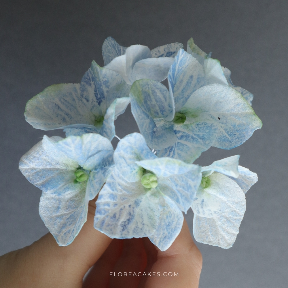 Florea Cakes Wafer Paper Flower Step-by-step Tutorial Hydrangea