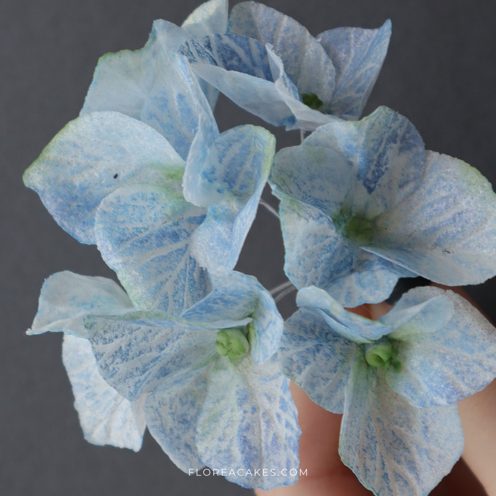 Florea Cakes Wafer Paper Flower Tutorial Blue Hydrangea