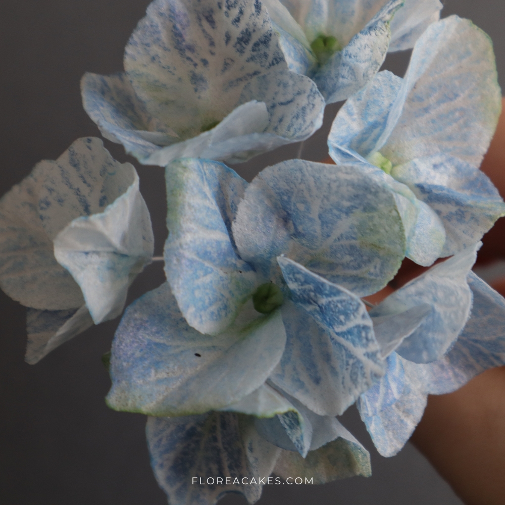 Florea Cakes Wafer Paper Flower Tutorial Hydrangea Beautiful Wafer Paper Blue Hydrangeas