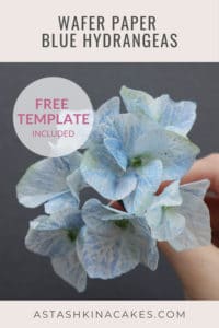 Wafer Paper Hydrangea Astashkina Cakes 1