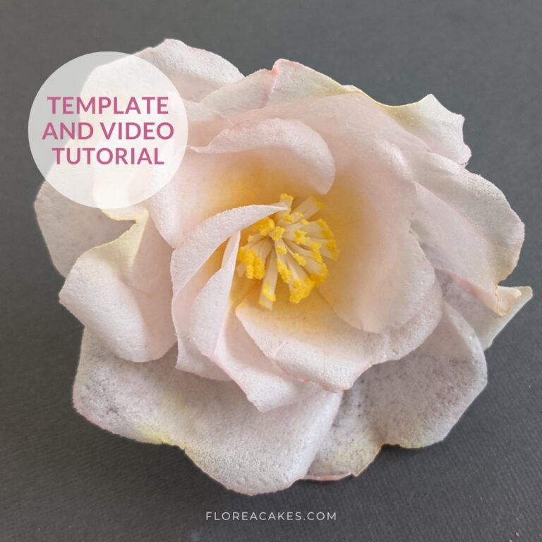 Florea Cakes Wafer Paper Flower Tutorial