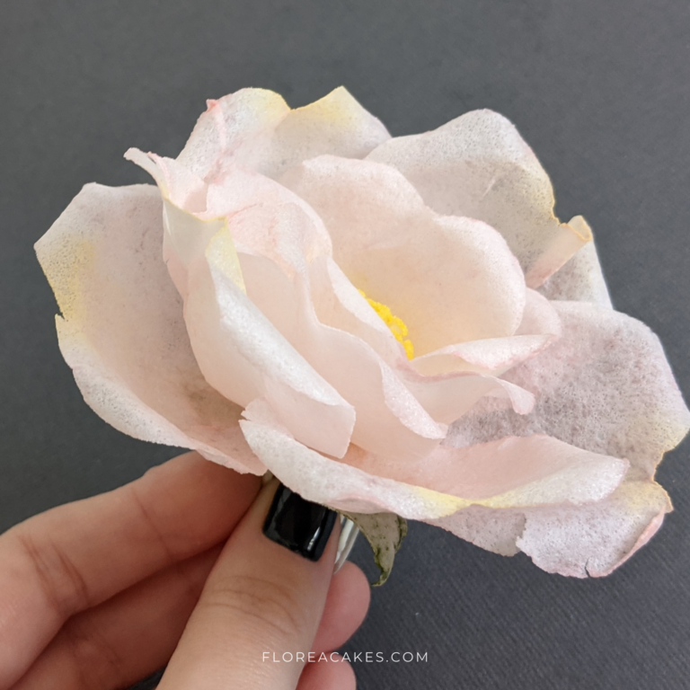 Video Tutorial Wafer Paper Wild Rose Template Download Florea Cakes (5)