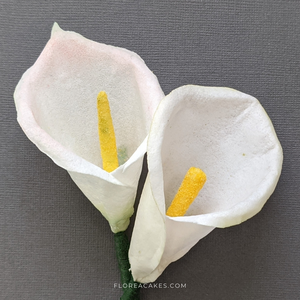 Florea Cakes Wafer Paper Calla Lilly Tutorial Beautiful Wafer Paper Calla Lilly