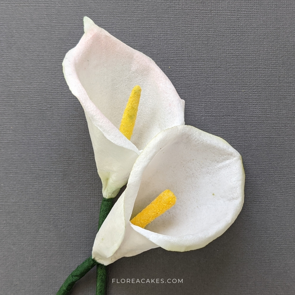 Florea Cakes Wafer Paper Calla Lilly Tutorial Edible Calla Lilly Flowers for Cake Decoration