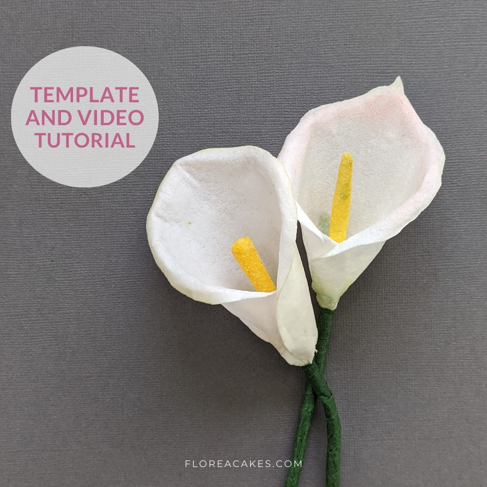 Florea Cakes Wafer Paper Calla Lilly Template and Video Tutorial