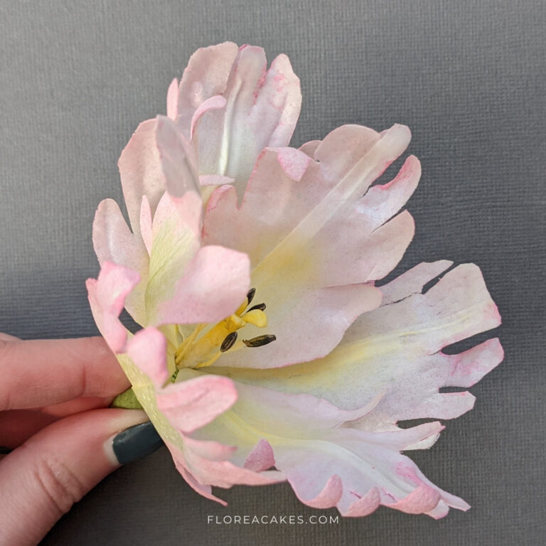 Wafer Paper Flower video Tutorial on FloreaCakes (1)