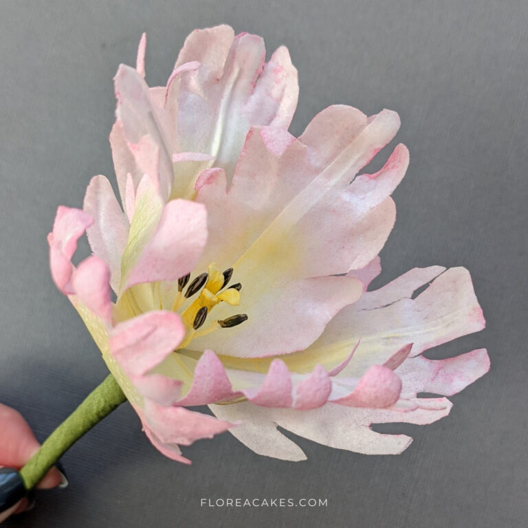 Wafer Paper Flower video Tutorial on FloreaCakes (11)