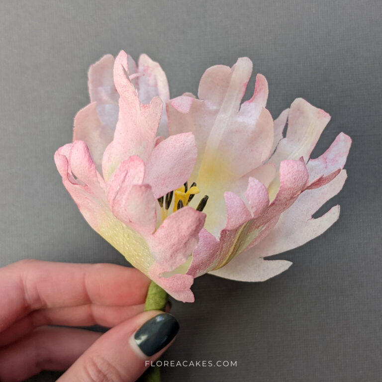 Wafer Paper Flower video Tutorial on FloreaCakes (12)