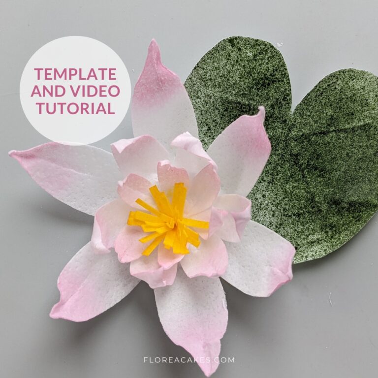 Florea Cake How to make wafer paper water lilly for cake decorating