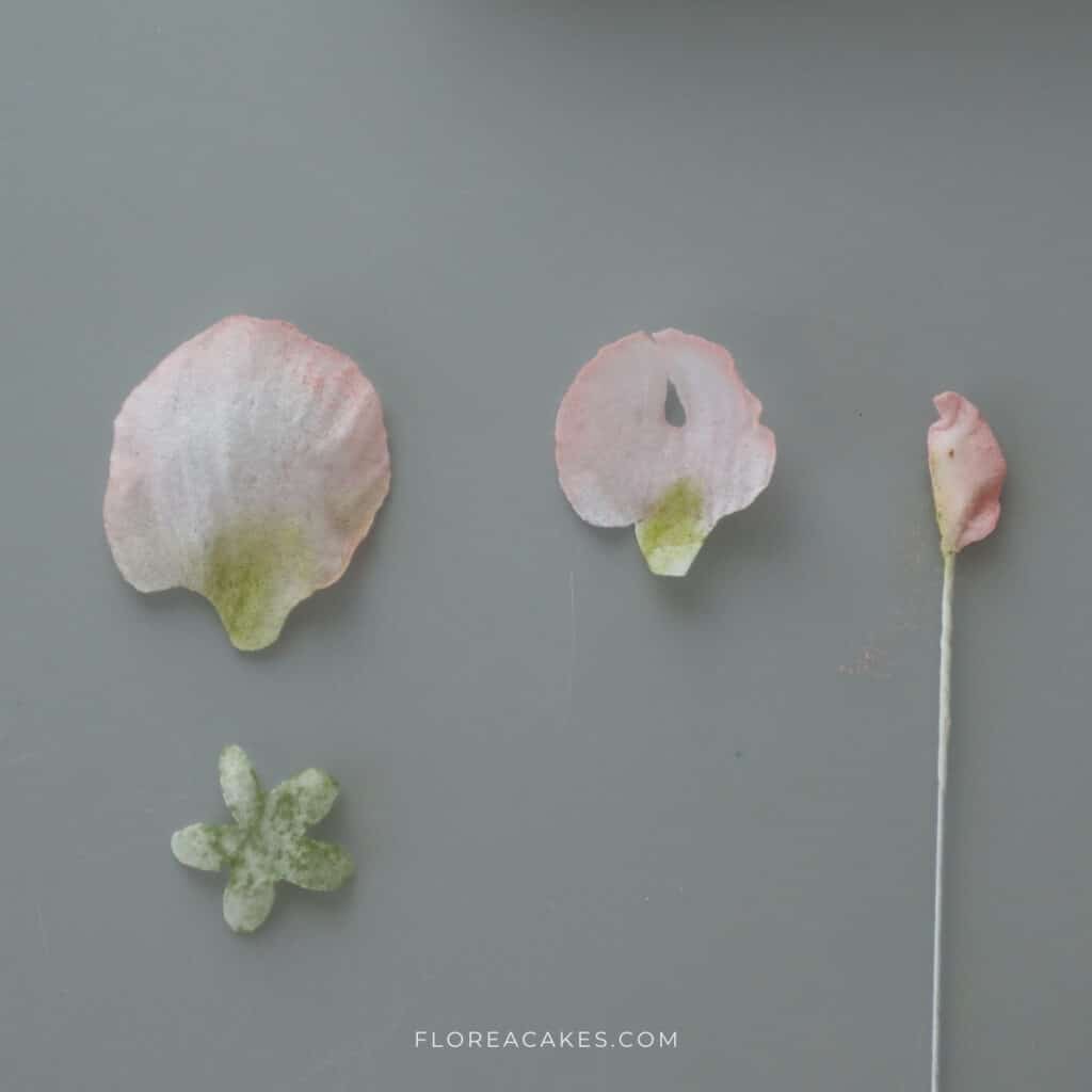 Wafer Paper Flower Video Tutorials on FloreaCakes (15)