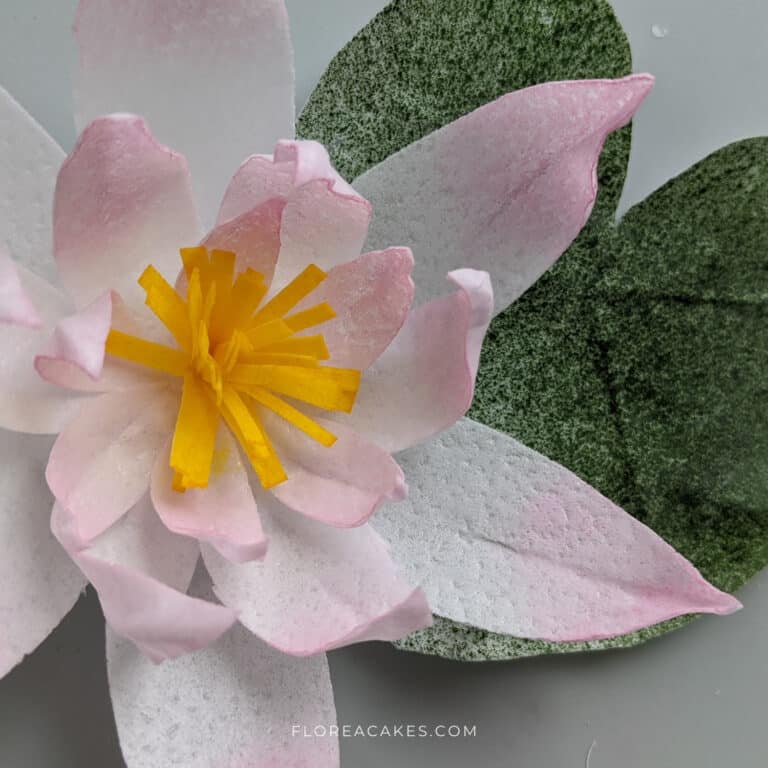 Wafer Paper Flower Video Tutorials on FloreaCakes (6)