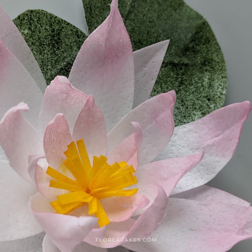 How To Make Wafer Paper Water Lily 🪷 Florea Cakes 7948