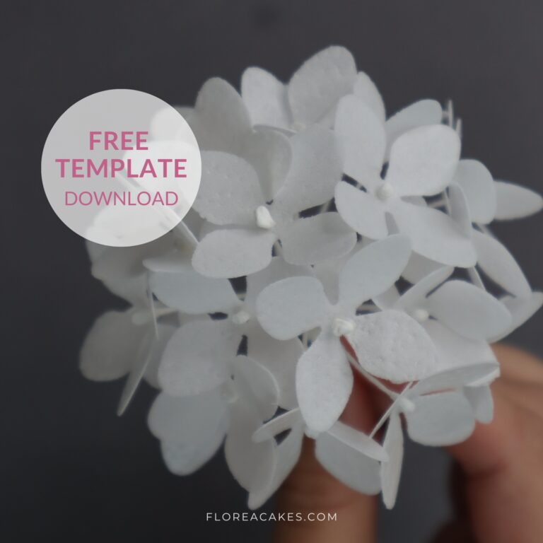 Florea Cakes Wafer Paper Tutorial Hydranges Free Template