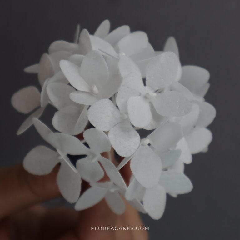 Florea Cakes Wafer Paper Tutorial Hydrangea