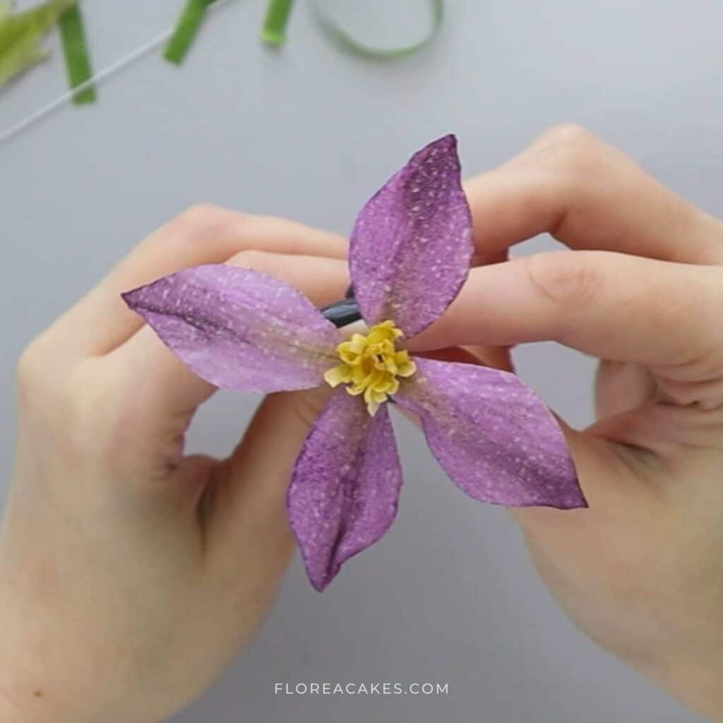 Beautiful Wafer Paper Clematis Flower Florea Cakes