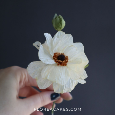 Beautiful Wafer Paper Flower Florea Cakes