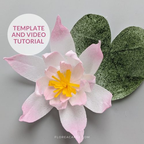 Florea Cake How to make wafer paper water lilly for cake decorating