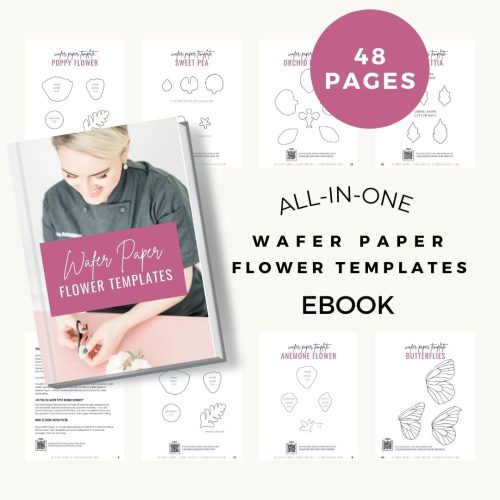 Cake Decorating Masterclass Free PDF template download wedding cake designer online workshops for home bakers wedding cake academy wafer paper flowers edible paper decor