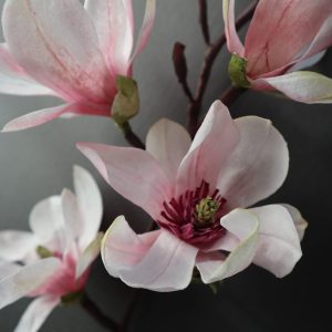 Pink Magnolia Astashkina Cakes 2